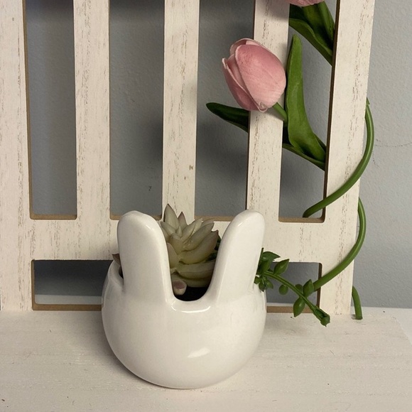 Urban Outfitters Other - Bunny Succulent Plant
